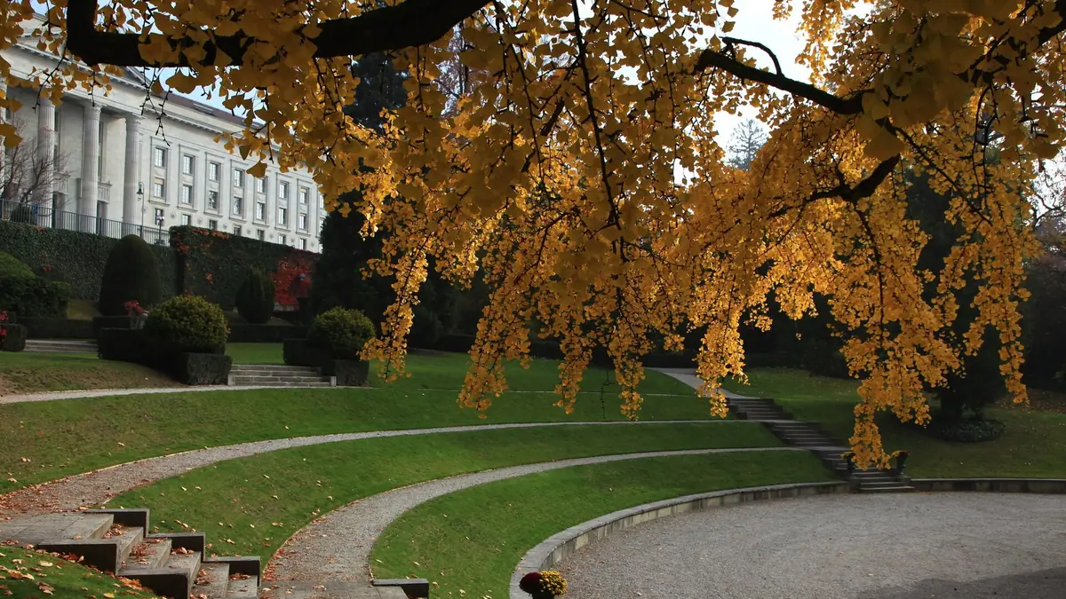 Schweizerisches Bundesgericht in Lausanne (Urheberrecht Art. 19 URG)
