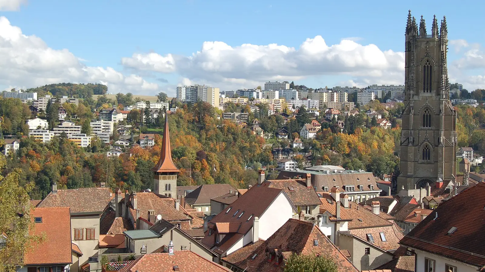Ansicht von Freiburg