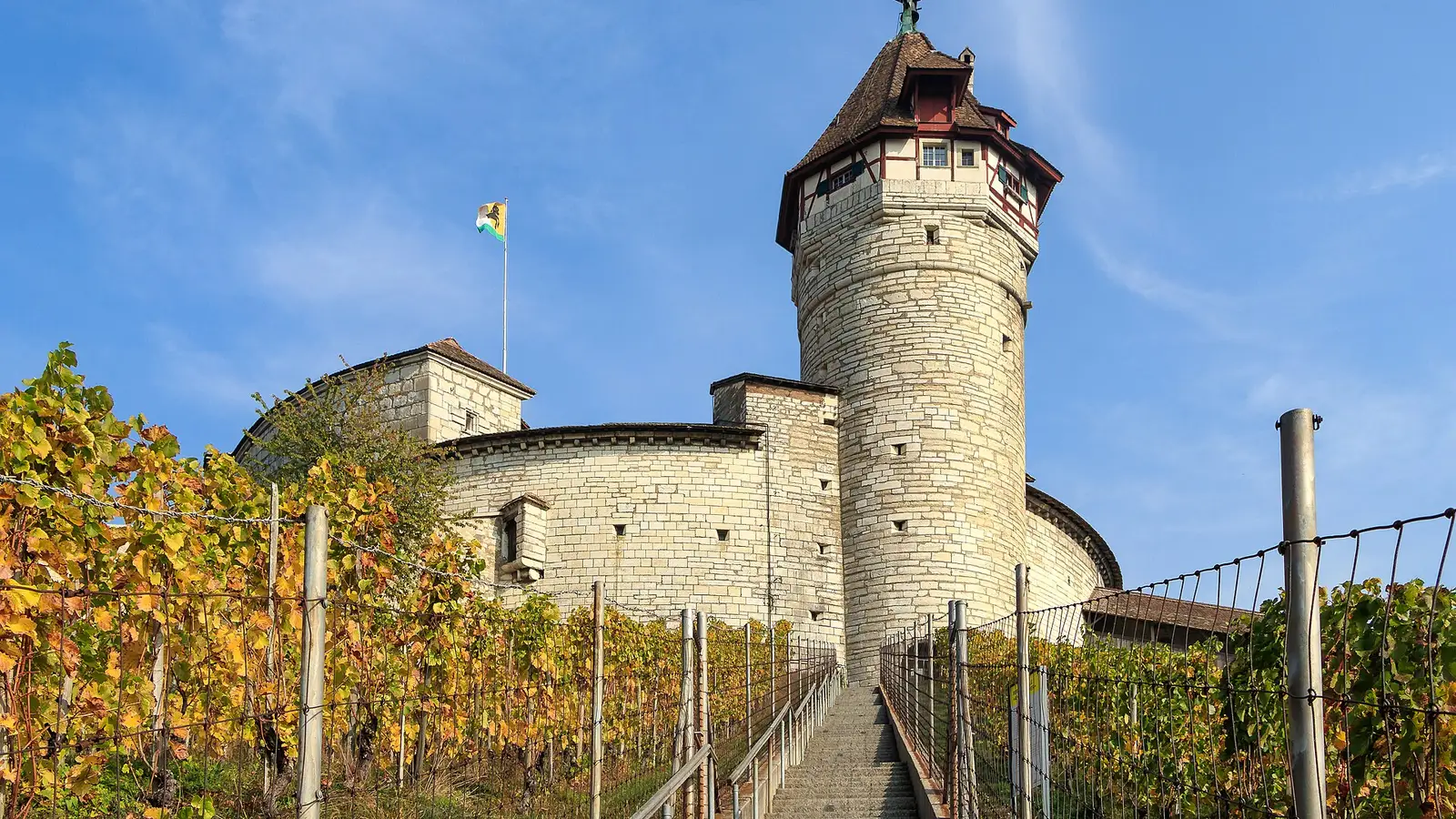 Ansicht von Schaffhausen