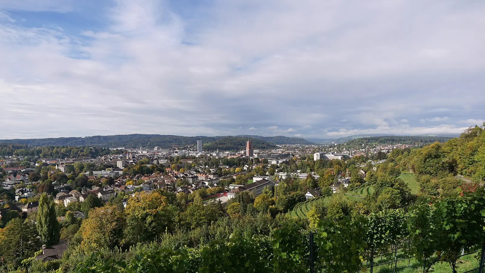 Ansicht von Winterthur